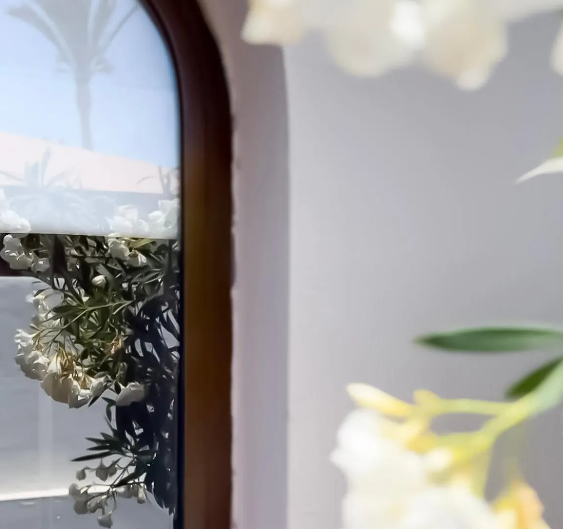 Villa House Boho Palm With Private Heated Pool And Garden, 3 Bedrooms, Wi-Fi Corralejo
