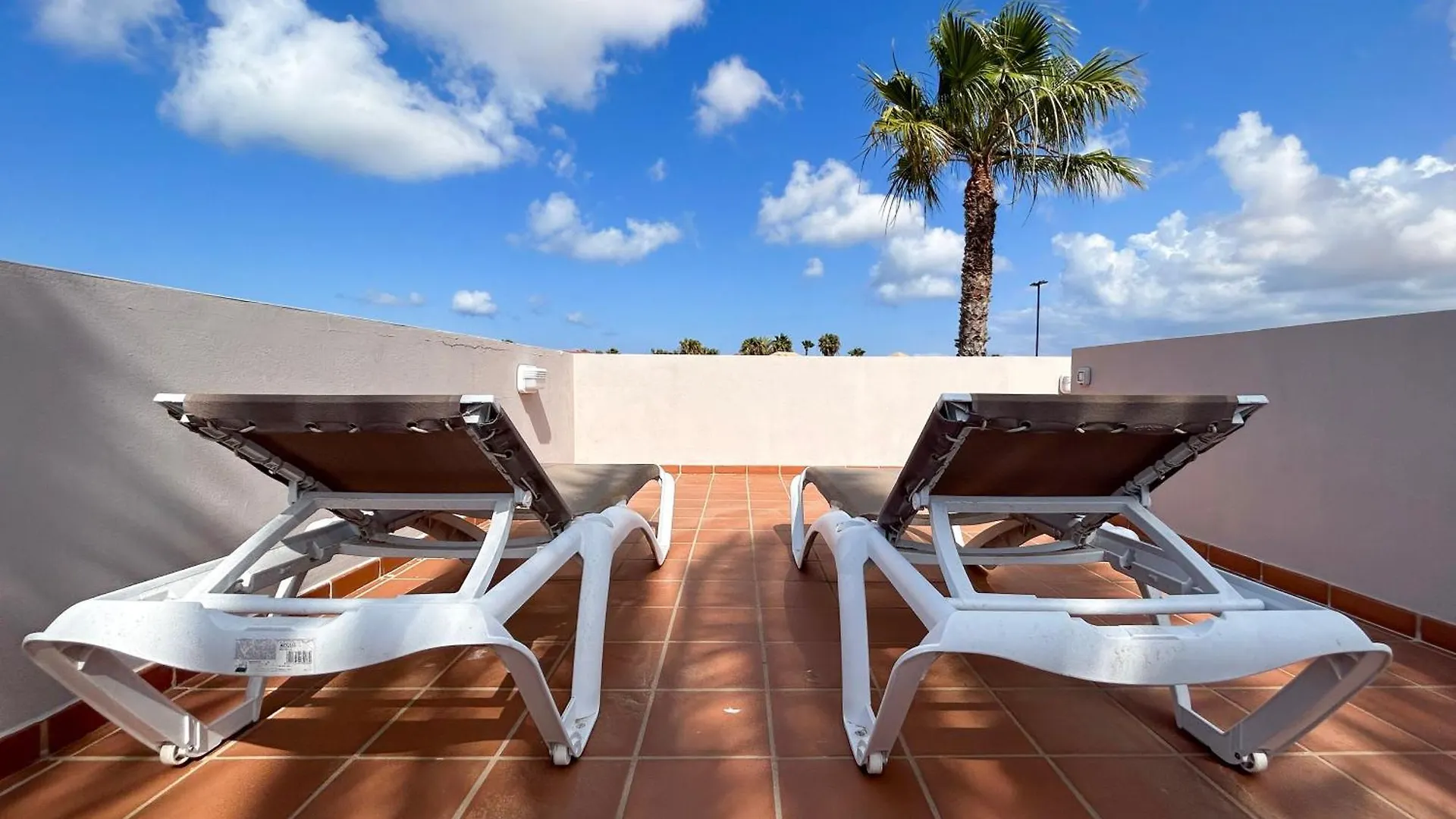 Villa House Boho Palm With Private Heated Pool And Garden, 3 Bedrooms, Wi-Fi Corralejo